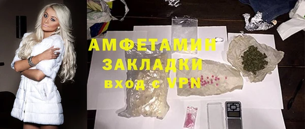 индика Алексин