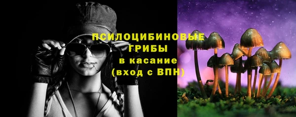 СК Богданович