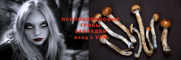 наркотики Богородицк