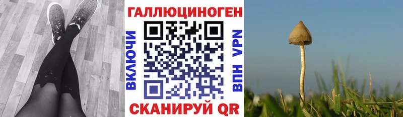 это какой сайт  Майкоп  Галлюциногенные грибы прущие грибы 