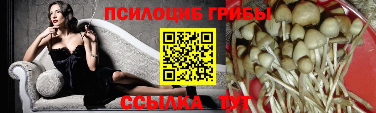 Галлюциногенные грибы мицелий Майкоп