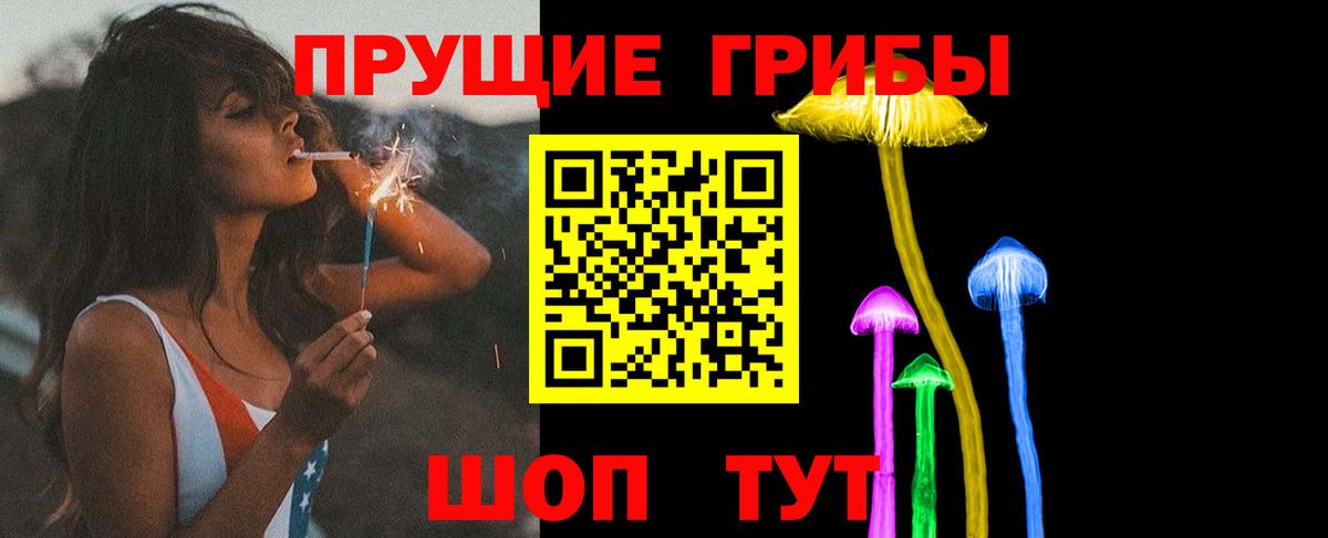 Псилоцибиновые грибы мухоморы  Вход с VPN  Псилоцибиновые грибы MAGIC MUSHROOMS  Майкоп 